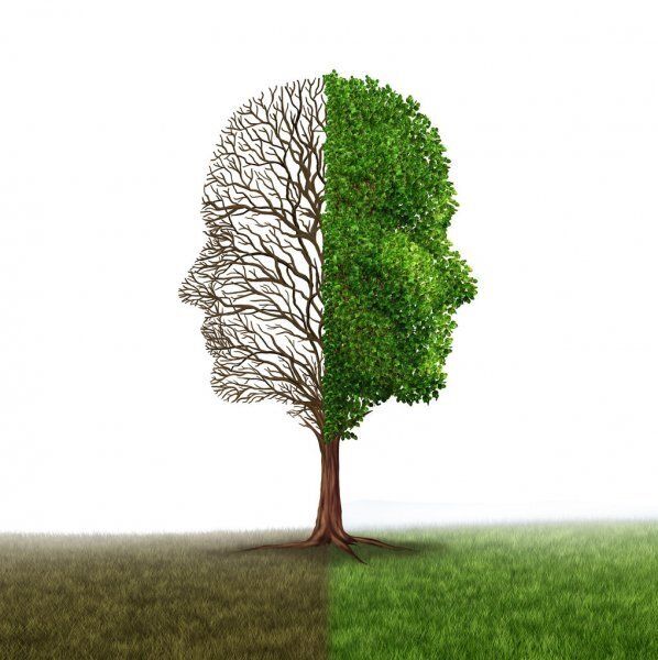 Boise Rapid Resolution Therapy and EMDR Therapy