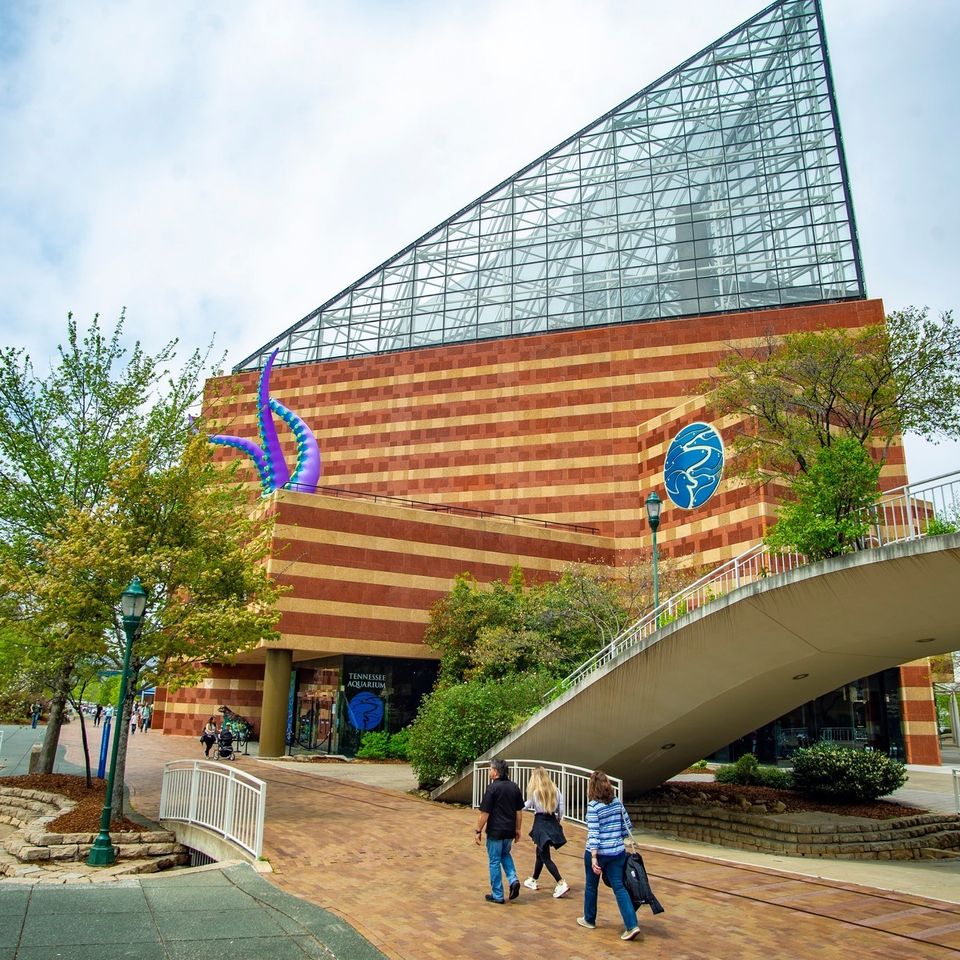 Tennessee aquarium