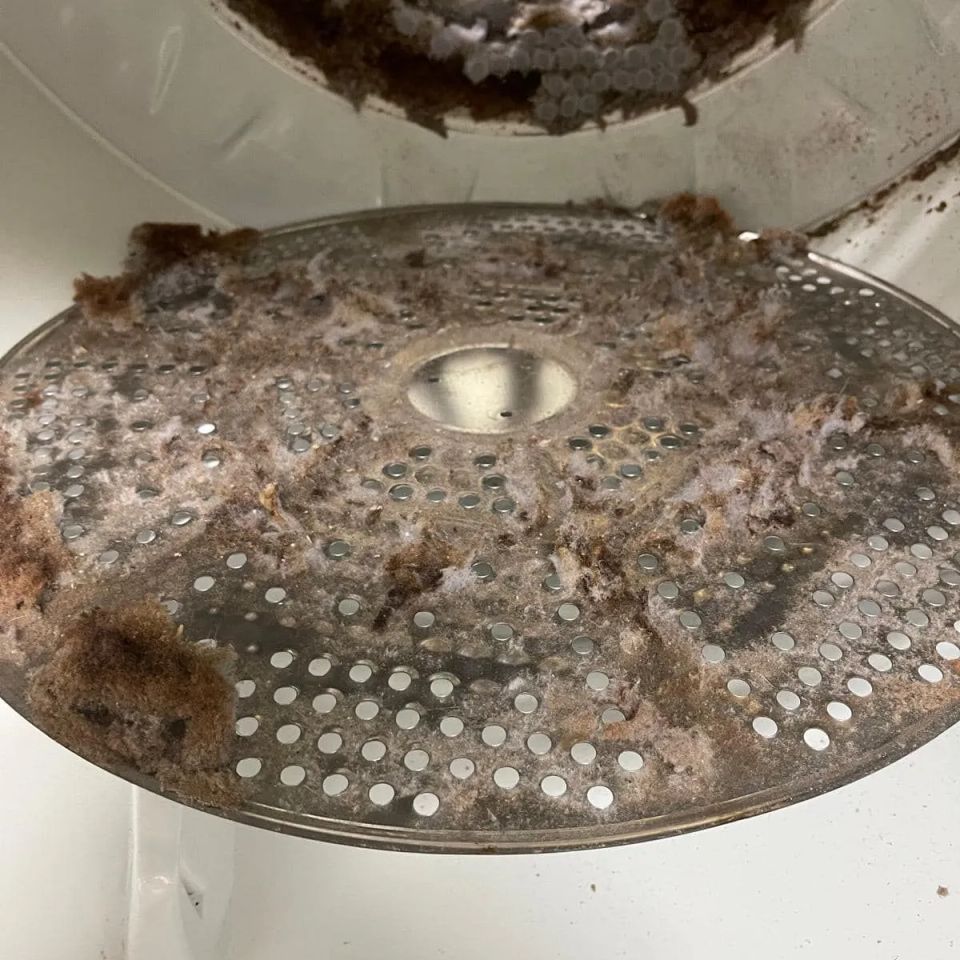 Professional appliance repair 85 1920w