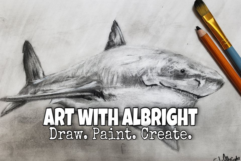 How to Draw Realistic Shark by artist Emily Albright