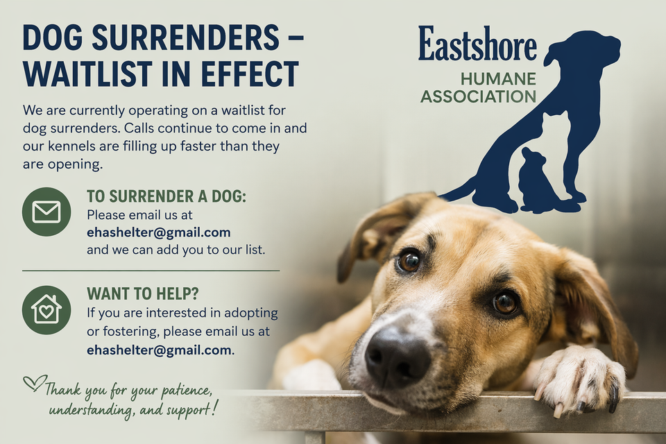 Chatgpt image apr 17  2026  12 29 32 pm