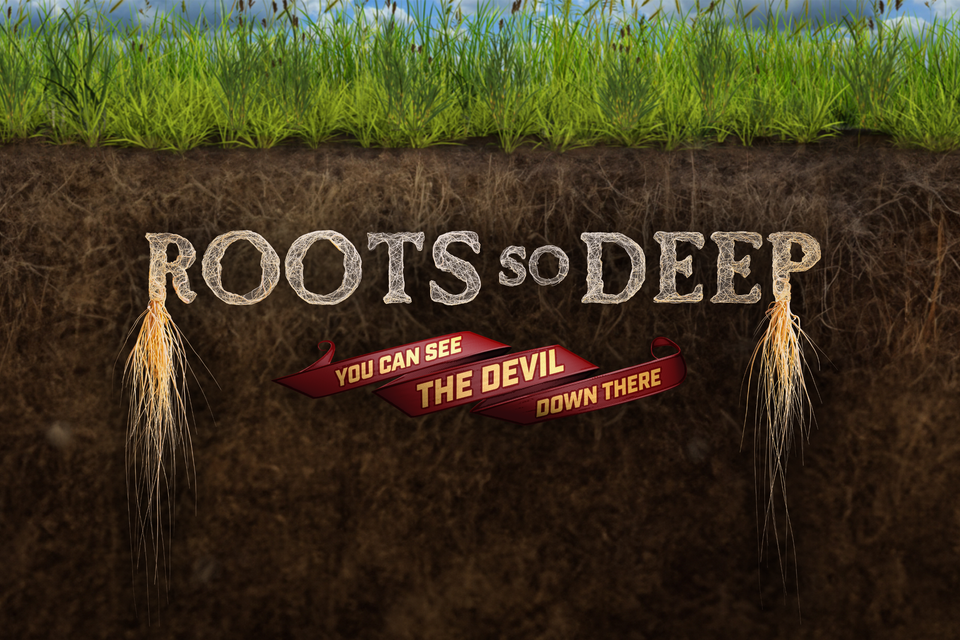Rsd banner email