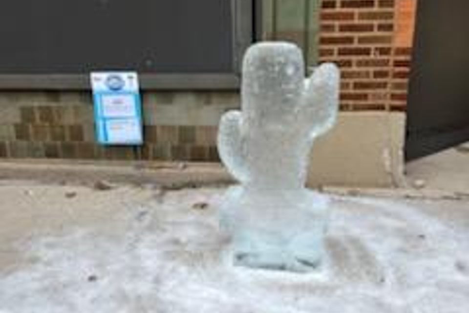 Ice carving 2025 41