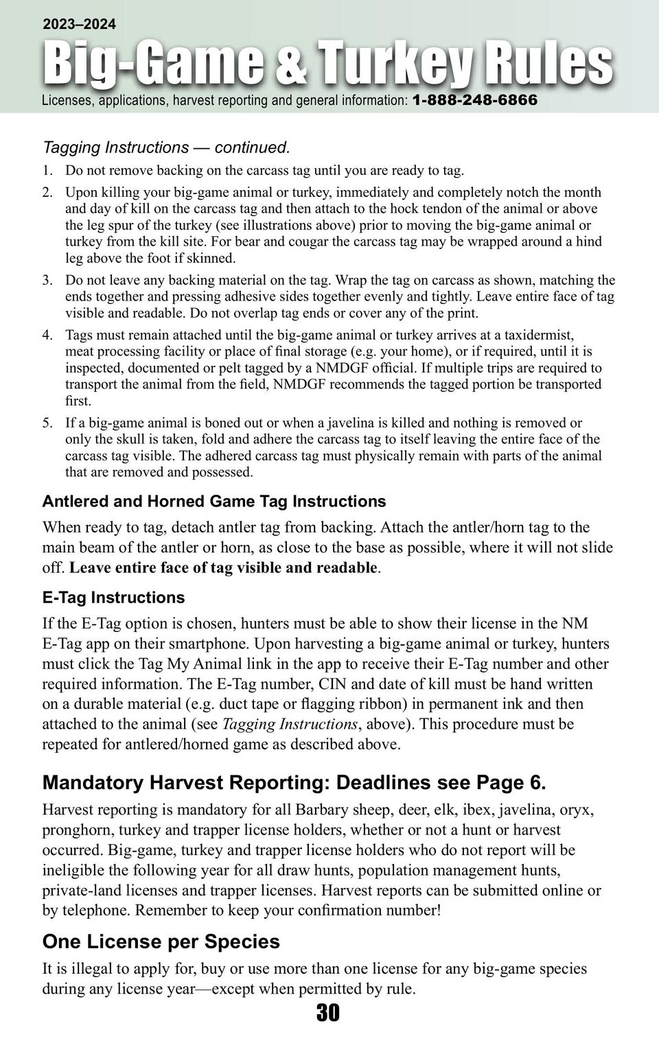Hnt rib 2023 24 final english online (1) 34
