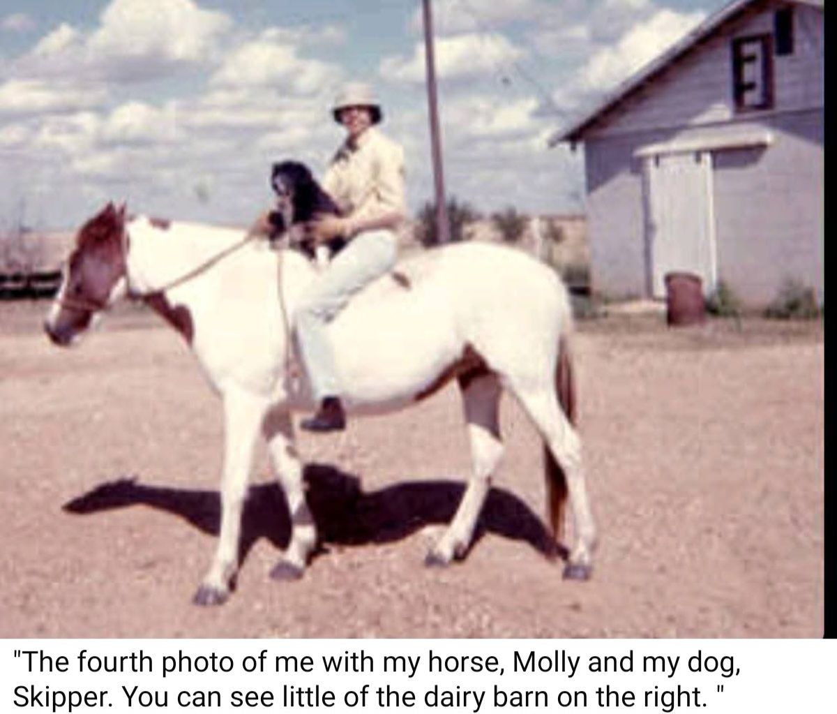 The Exorcist by William Peter Blatty - Flipbook by Dhanush | FlipHTML5, image size:1200x1023