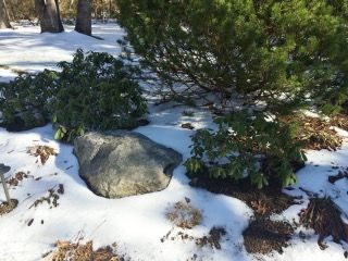 Nov snow von brincken