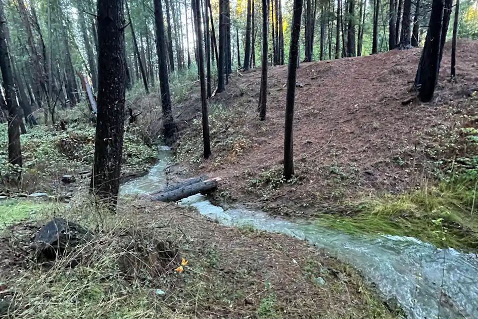 Unplug for nature dogs and kids family dog cabin private 5 acres northern california (1)