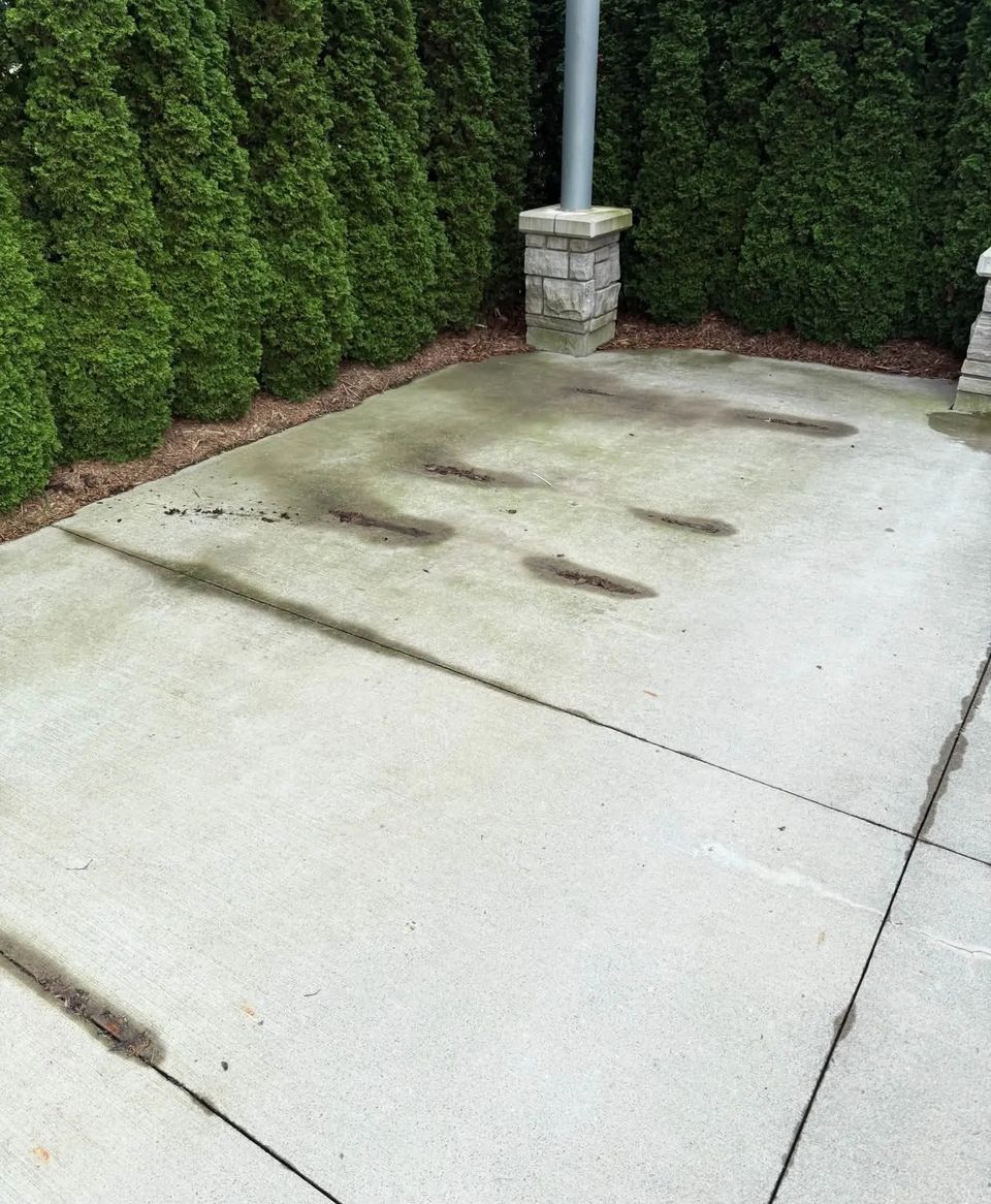 Before pressure washing, dark stains and algae on concrete patio beside cedar hedge in Tillsonburg ON