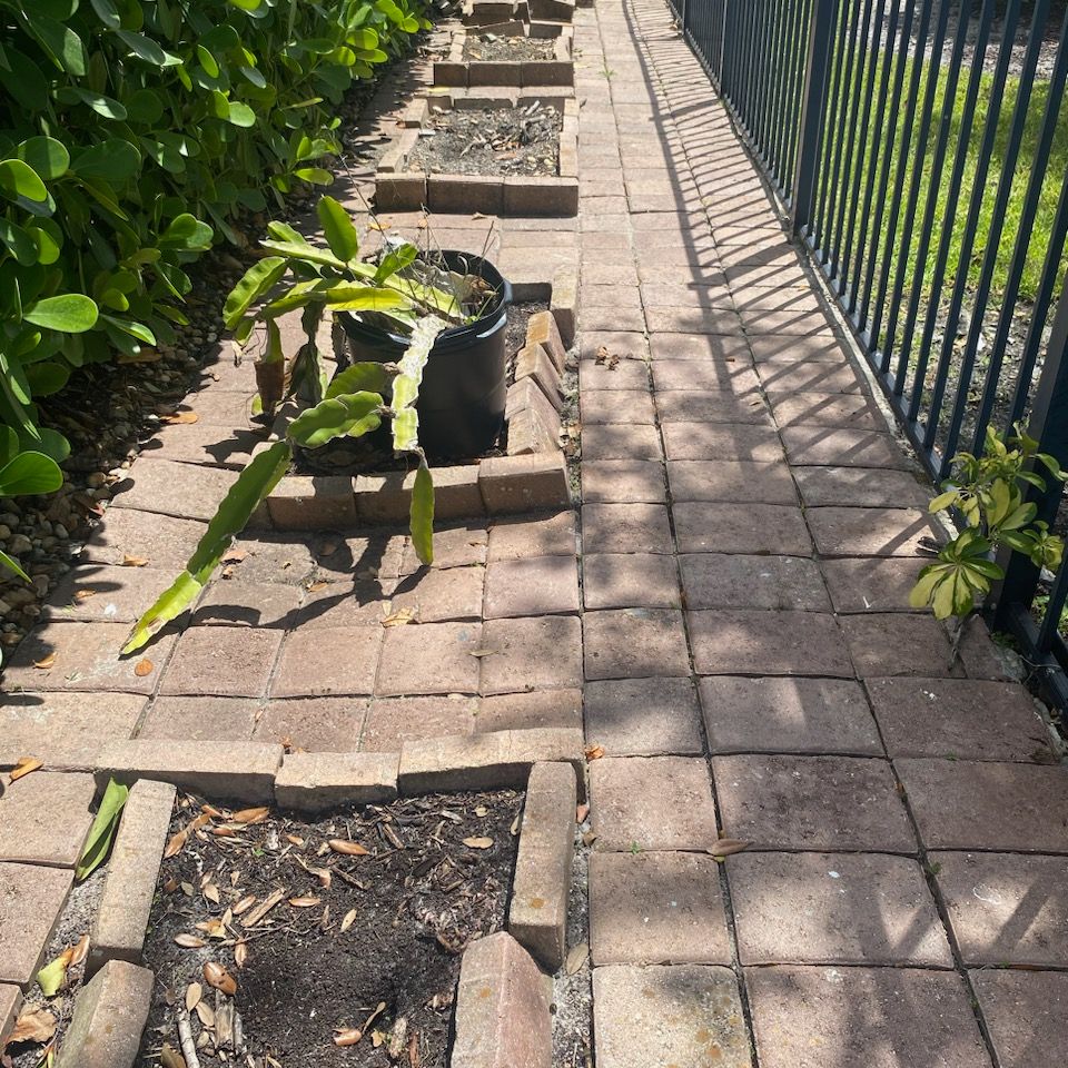 Original 95e7fc52 7c55 4b55 bad7 769391a6f16a