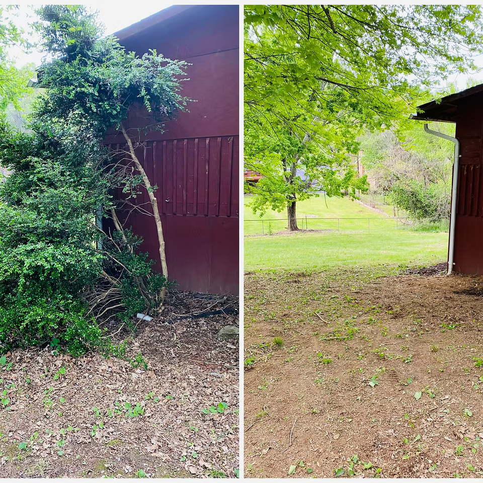 Mowing landscaping johnson city66