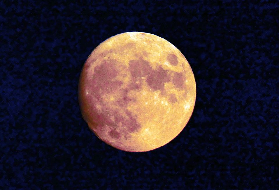 Hartharvestmoon