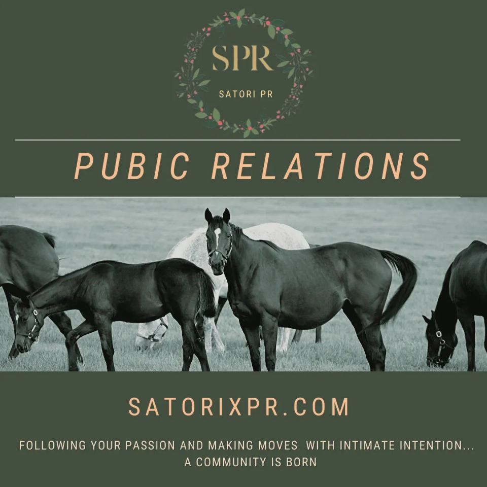 Satori pr logotype2 960x960 original