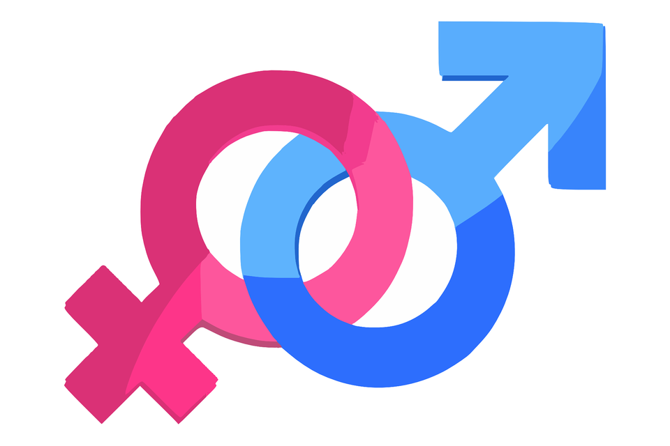 Gender g2e12482f4 1920