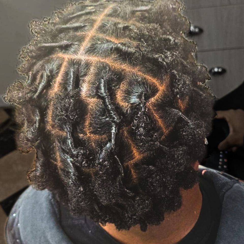 Starter locs edited