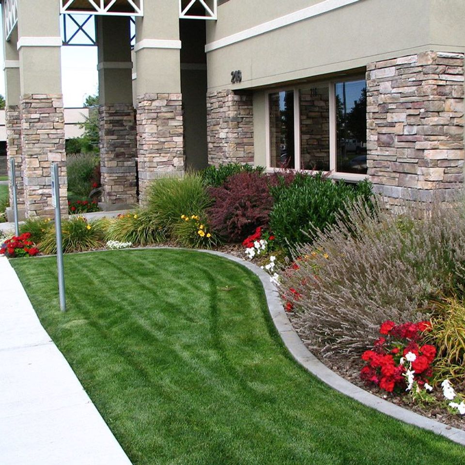 Commercial  0001 creekside dental 009