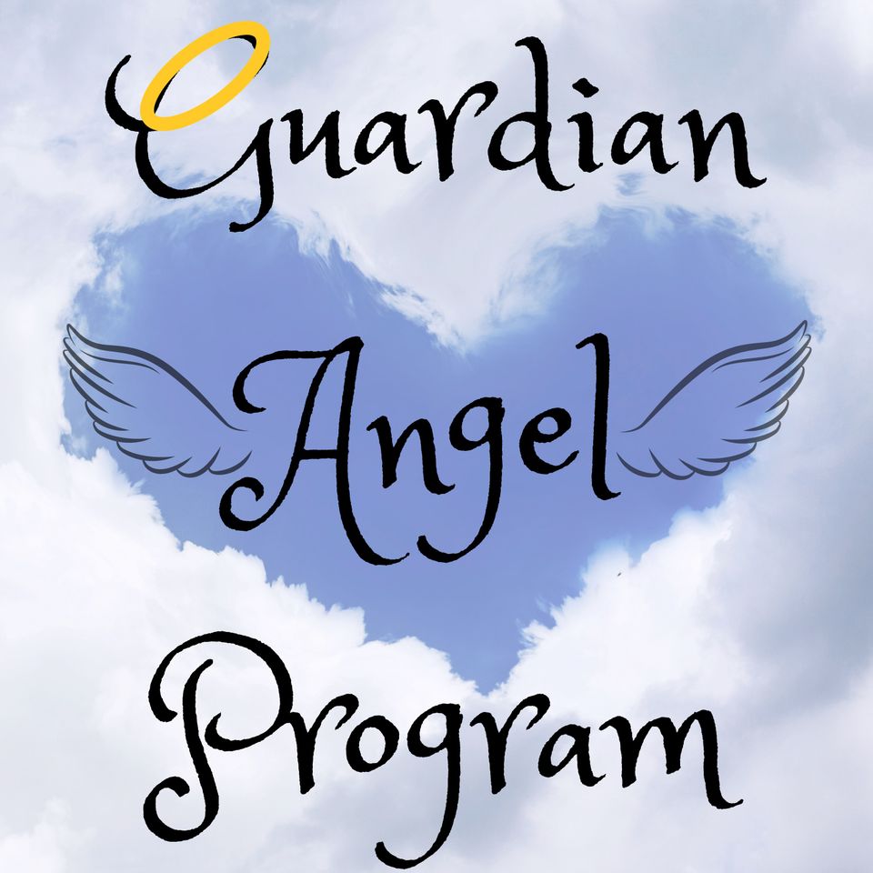 Guardian angel program (1)