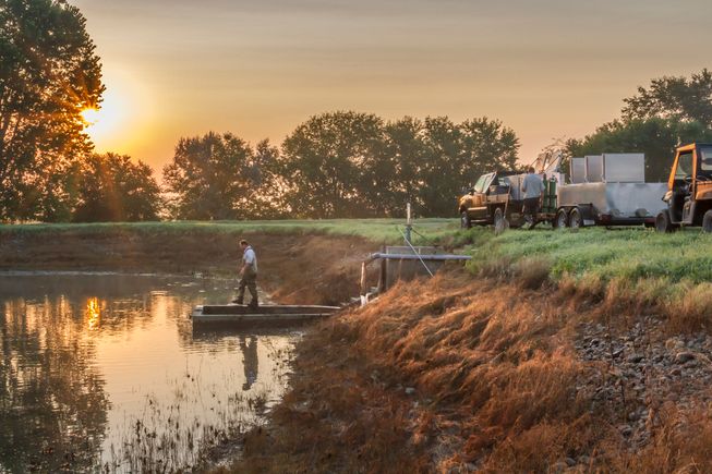 Pond morning pdfh aug 30 2017 1