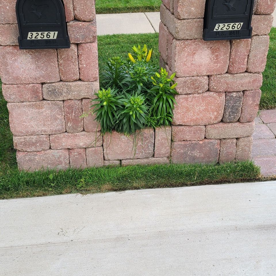 487327532 657824540338190 6372721658510070154 n