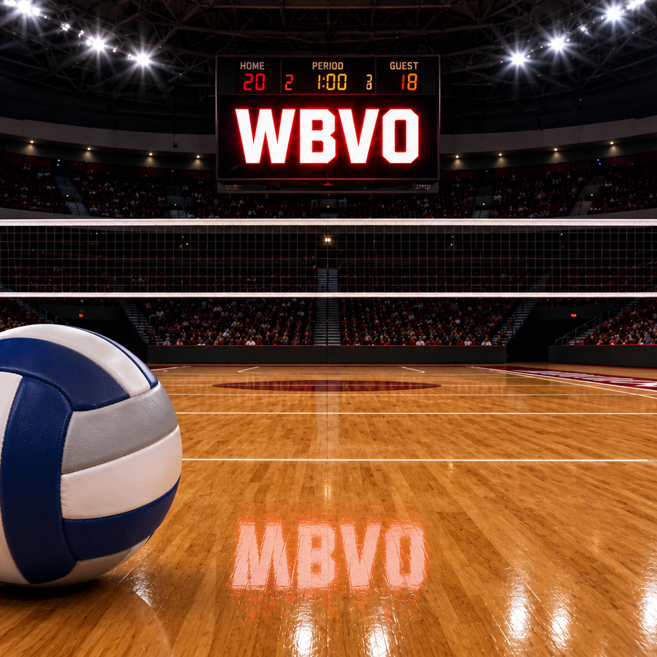 Vb arena1   blue grey white ball