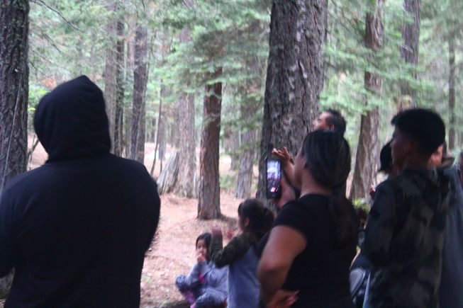 7499ea6b 4494 4cf5 b95f de27ef096e3d