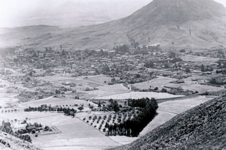 View from the hill