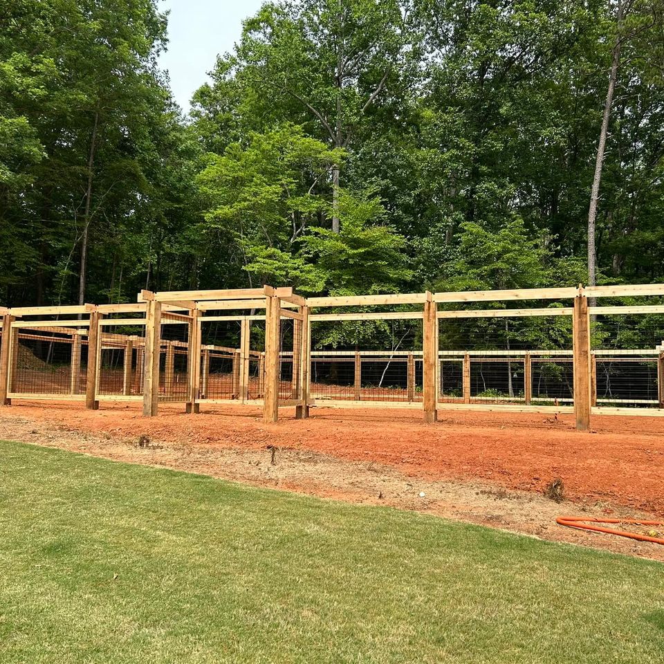 Cedar