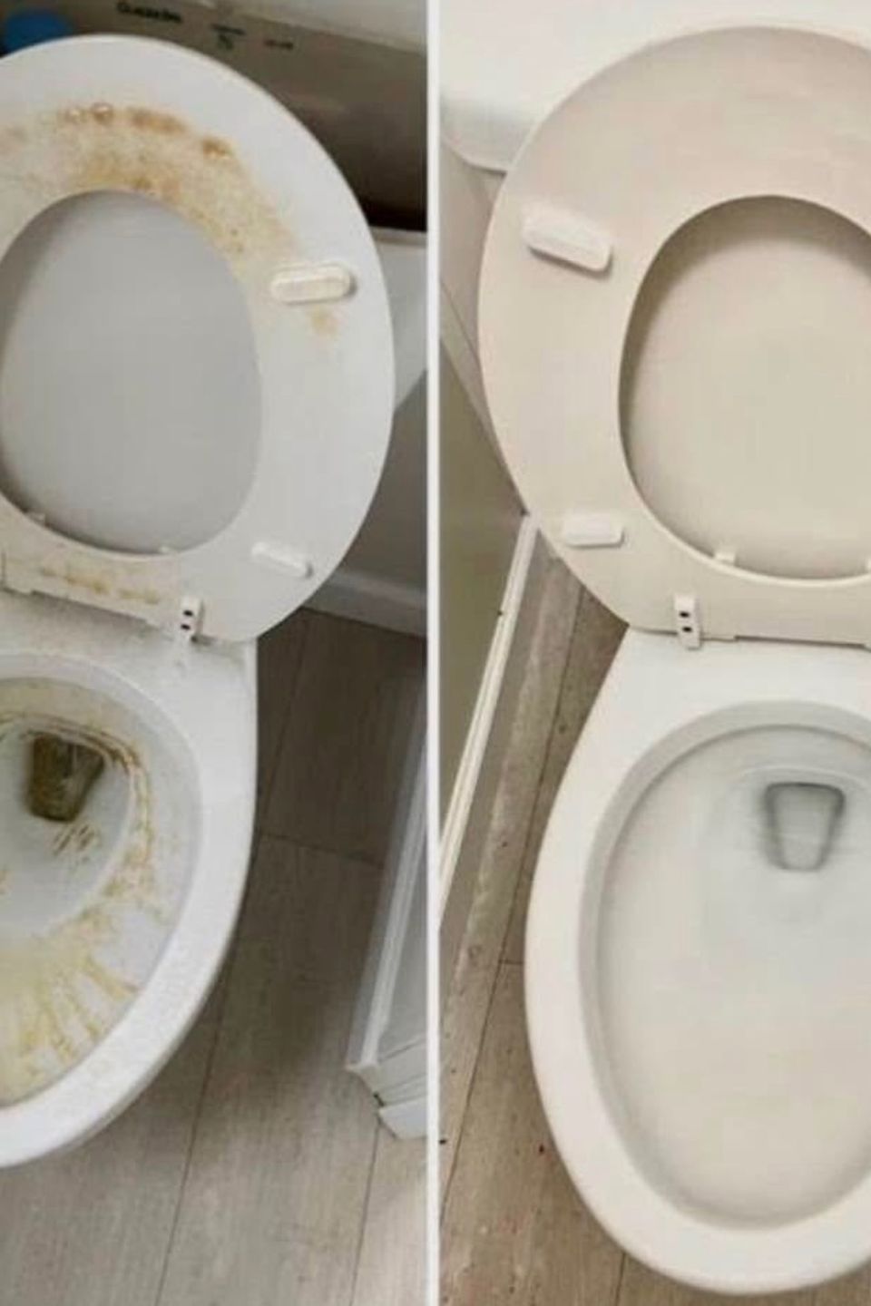 Img 3173 848411b7 9bb4 4543 8e79 2699354c0afe