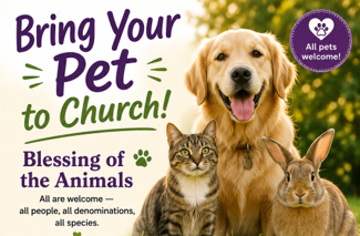 Blessing of animals
