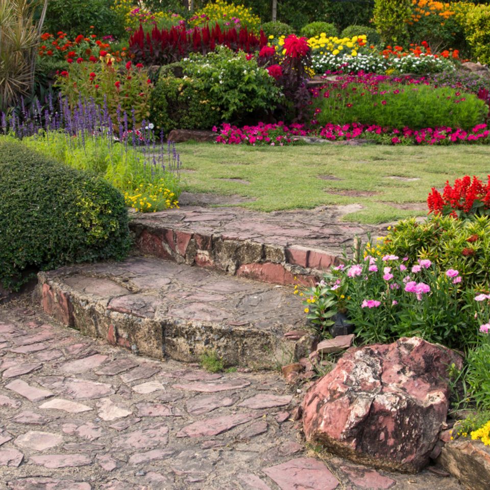 Colorful flower garden