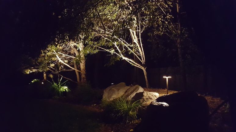 Professional outdoor landscape lighting in nampa  id