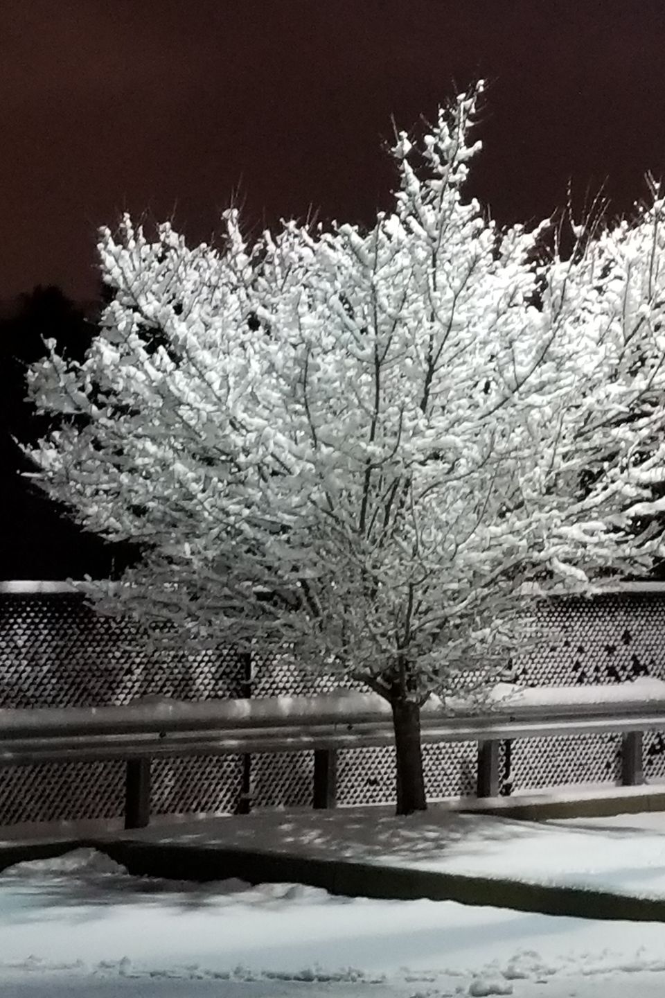 20180217 203222