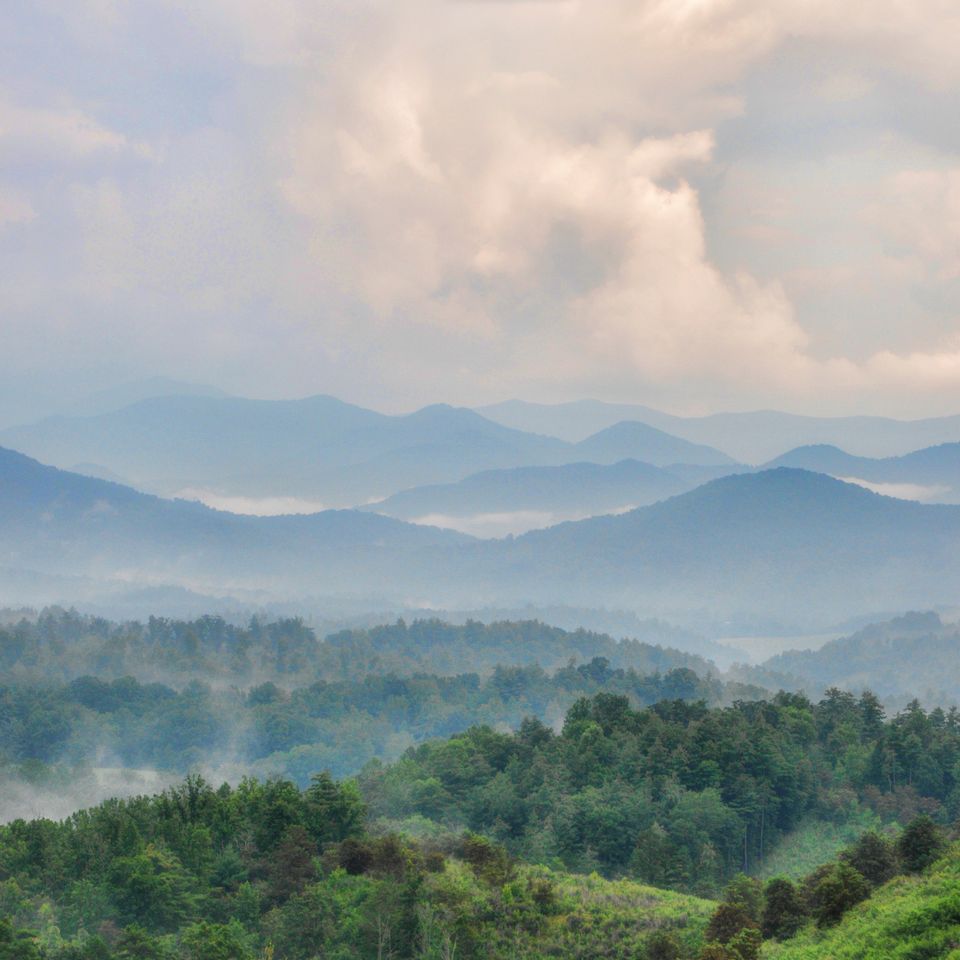 Rc tenn blue ridge mist