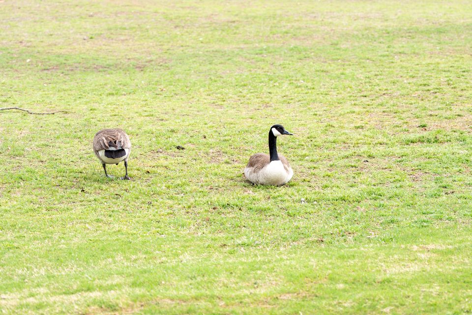 Dsc03531 enhanced nr