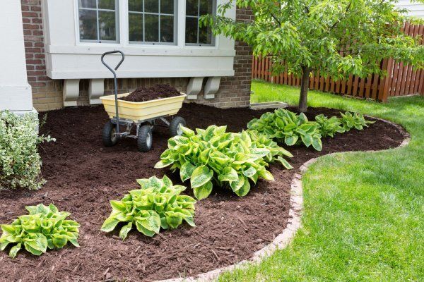 Landscaping maintenance crew pruning shrubs and caring for garden beds