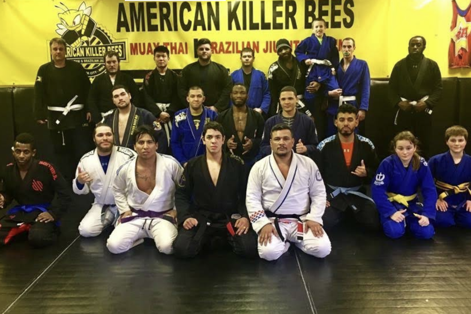 Killer bees