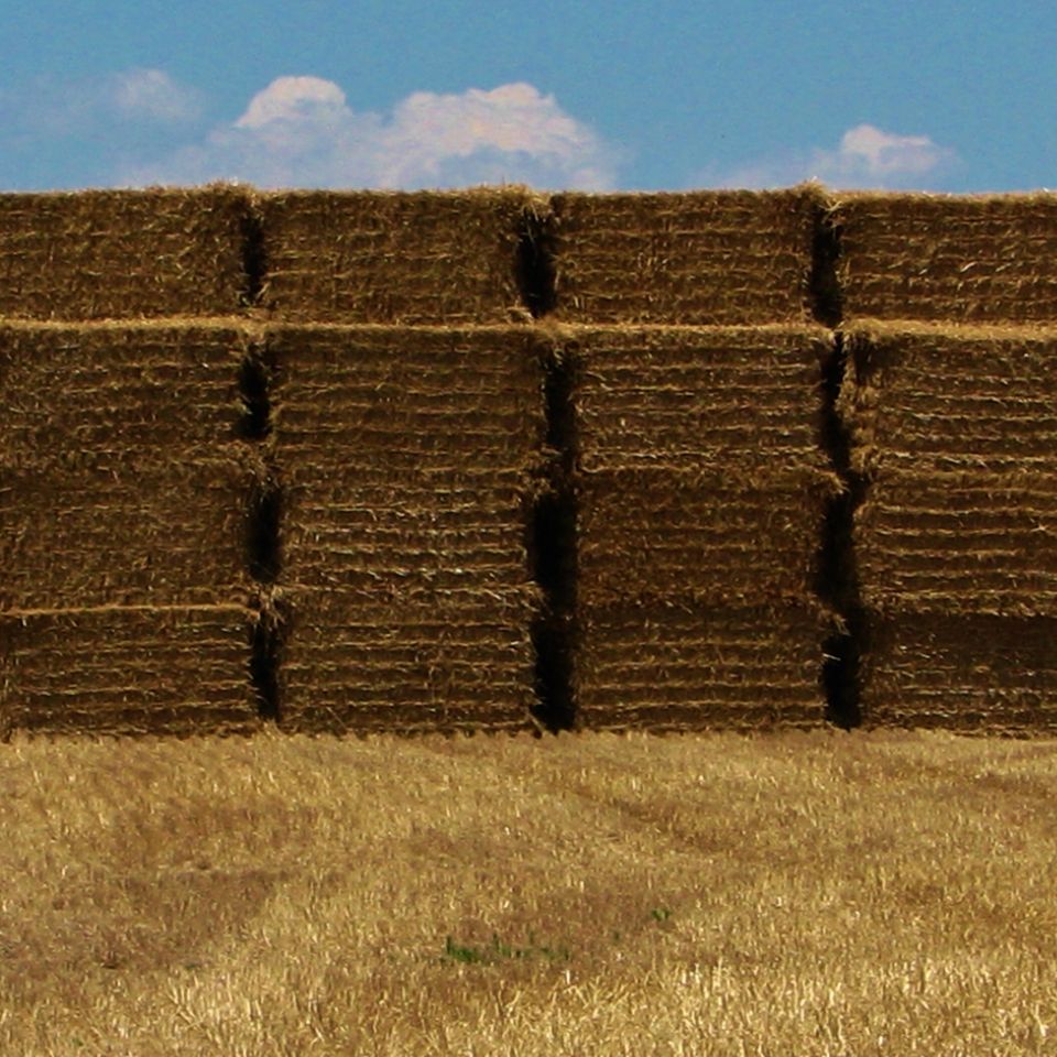 Hay bales stacked 4405