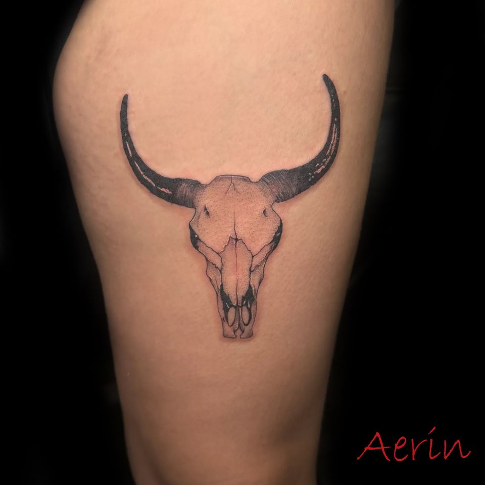 Aerin cow skull
