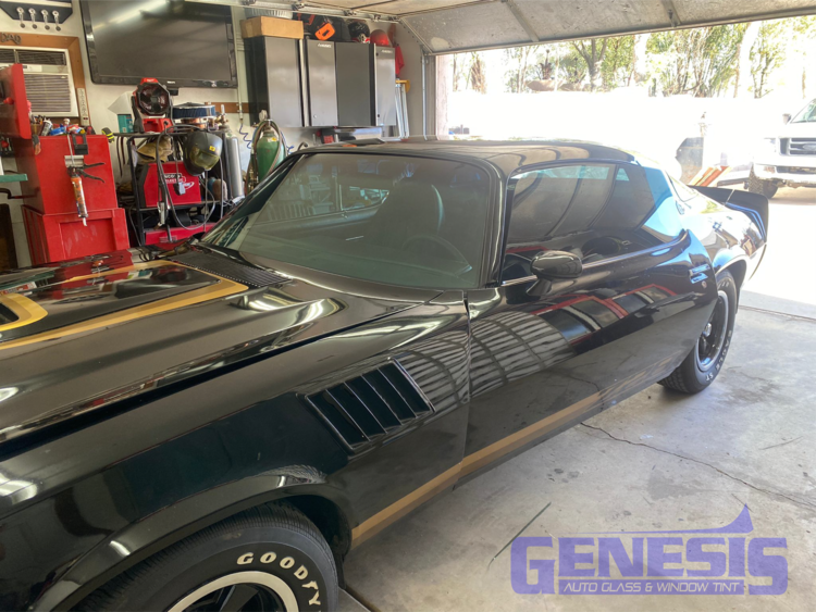 Genesis trans amo