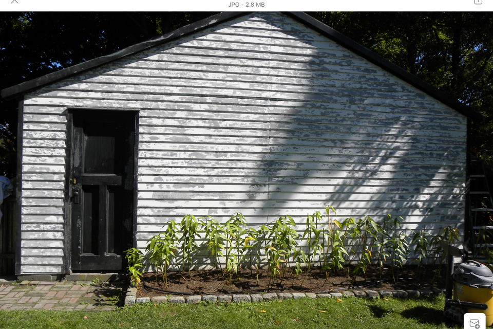 Img 0042