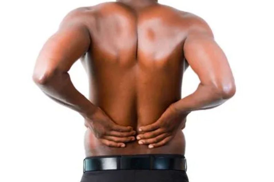 557633730 1430199982441566 7353279309494737675 n