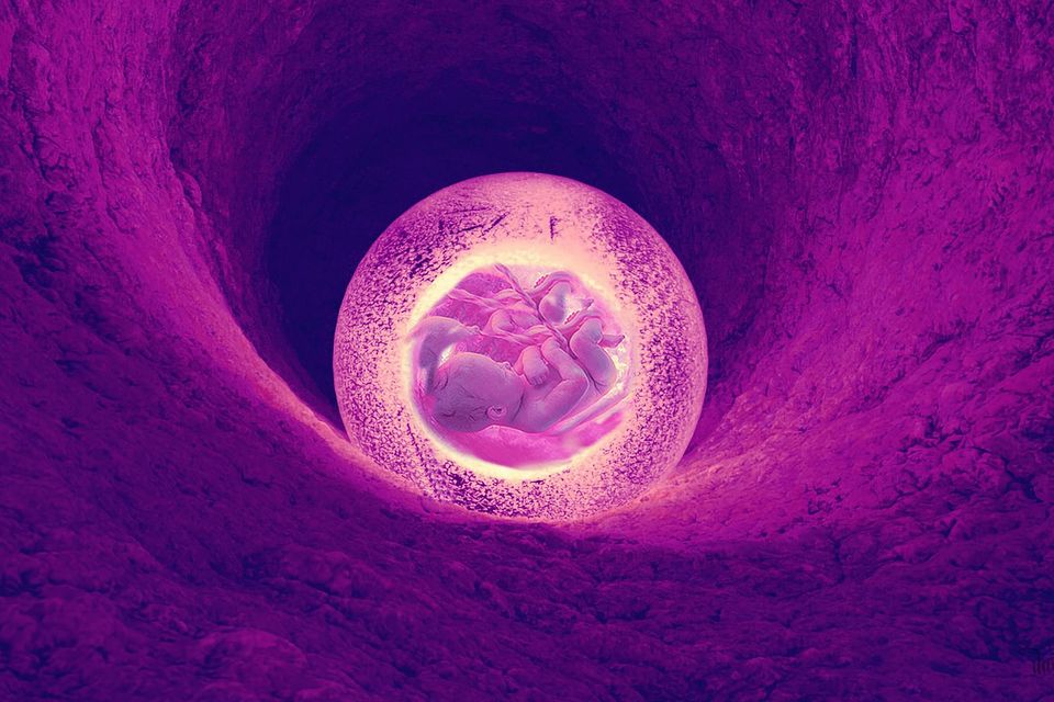 Unborn g0f26ff369 1920