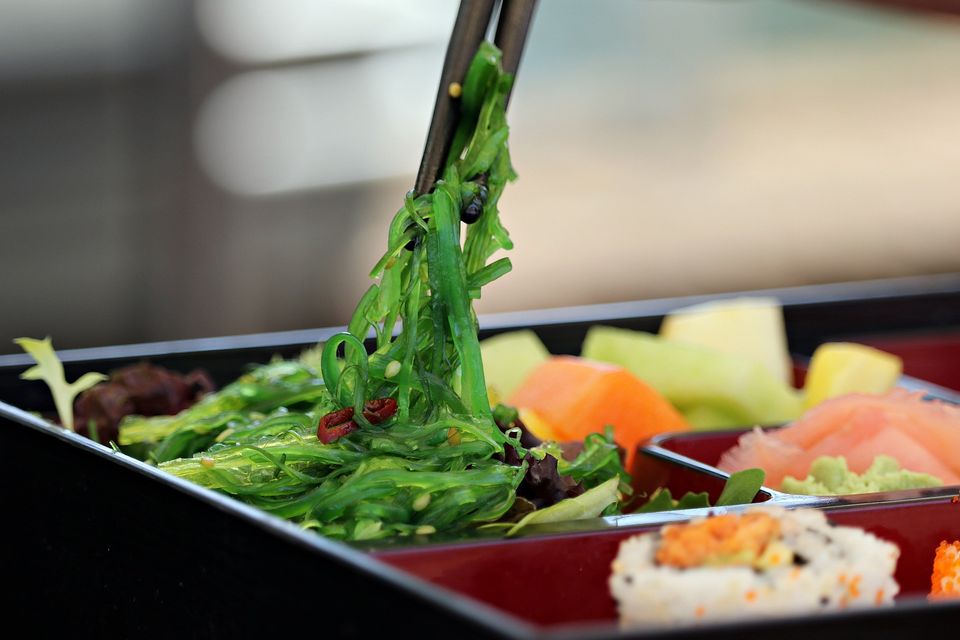 Japanese restaurant web design