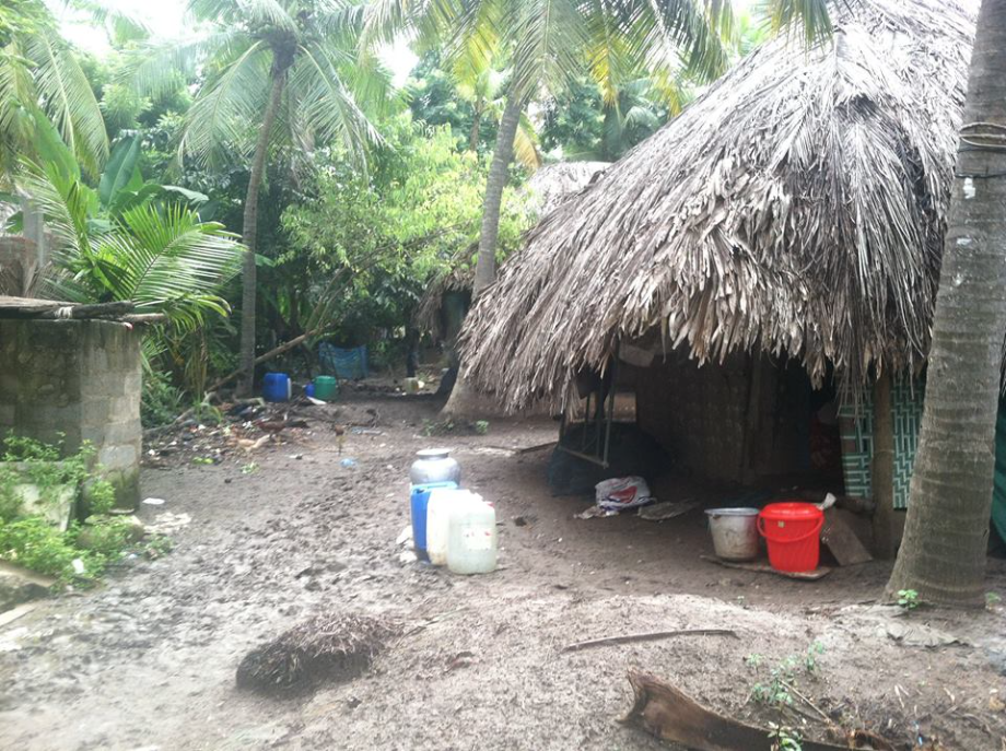 12347615 10153780428982760 7604783622603085730 n