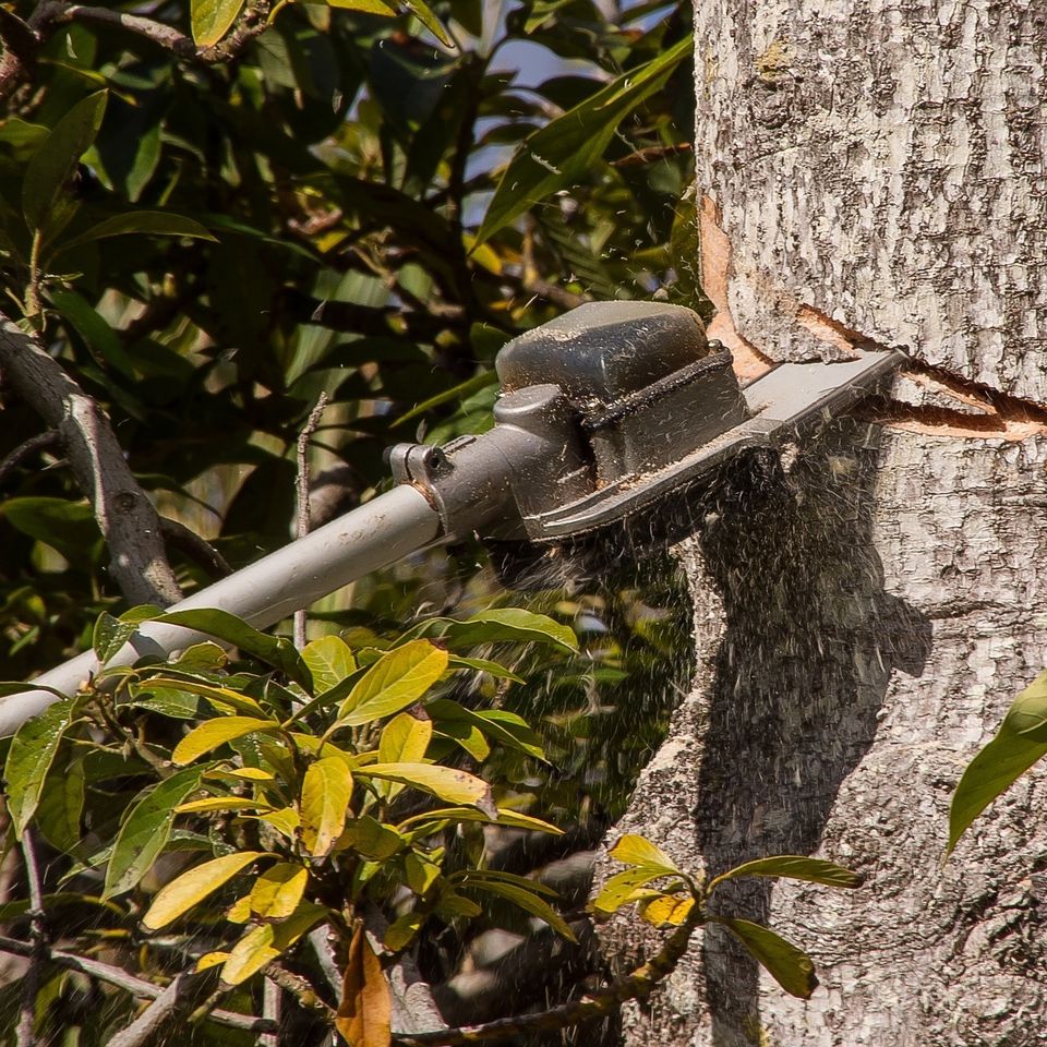 Chainsaw 5fe4d0474b 1920