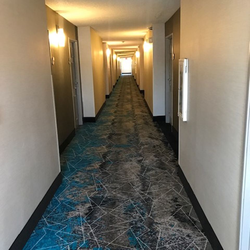 Img 2364