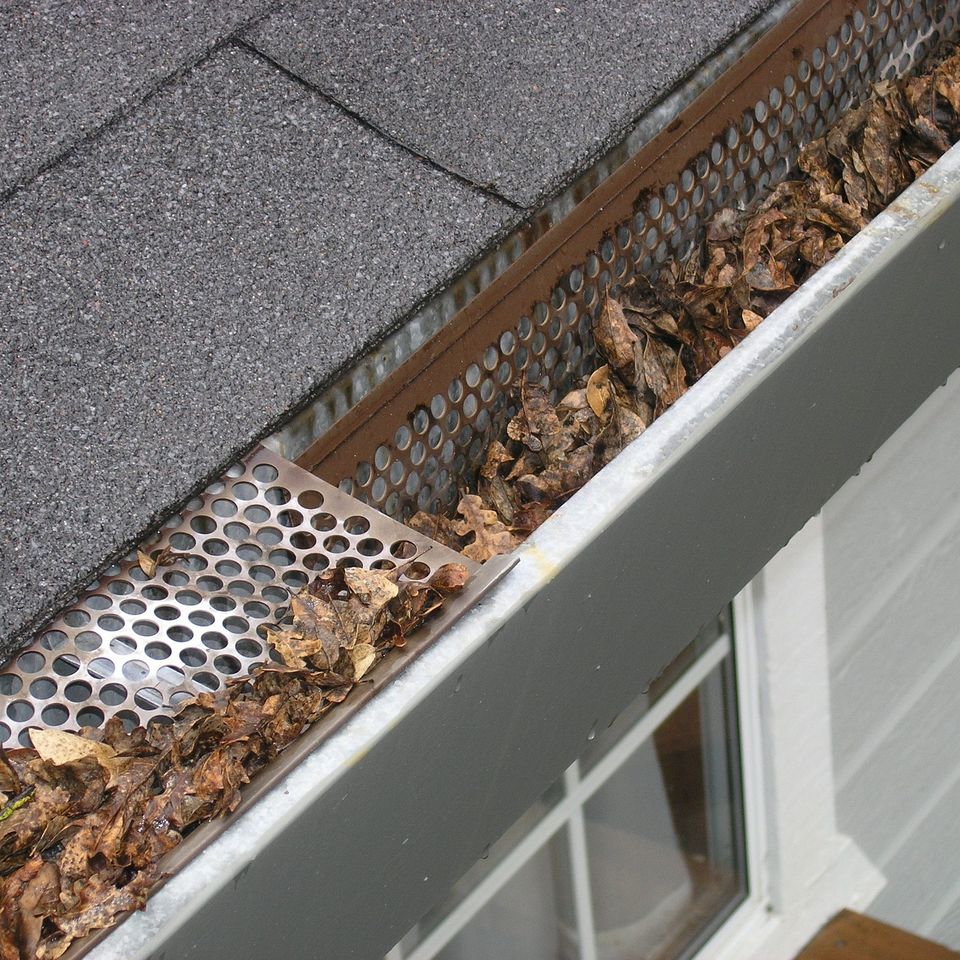 Residential gutter with a gutter guard system installed to help block leaves and debris while allowing water to drain properly.