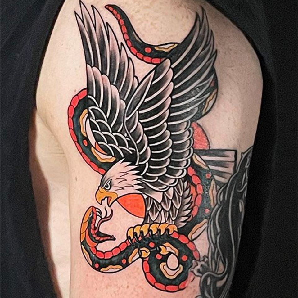 Josh traditional eagle