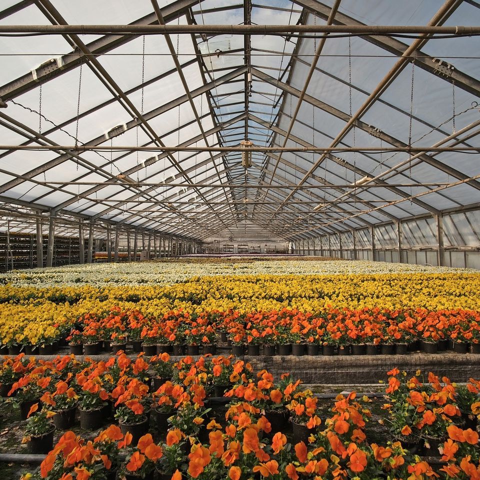 Greenhouse 52e9d14b4d 1920