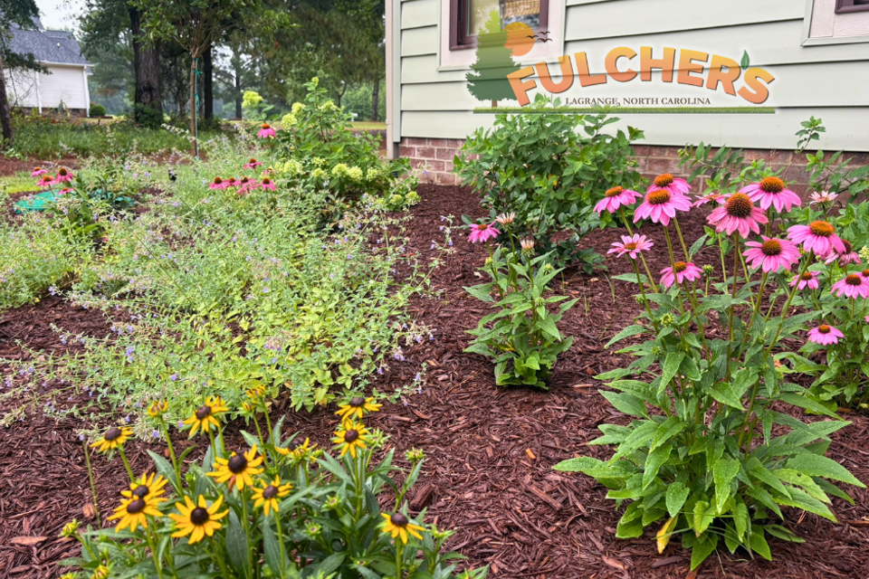 Bee haven1