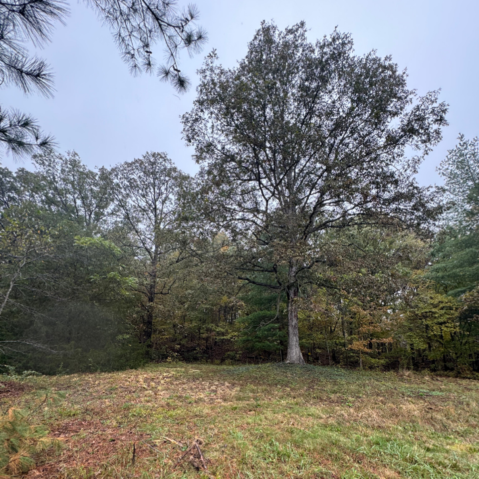 Future location of oscar's revenge on the hillside for laser tag arena